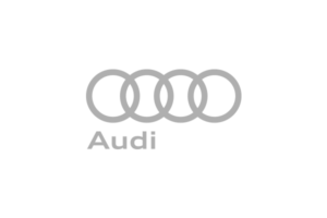 Audi-gray