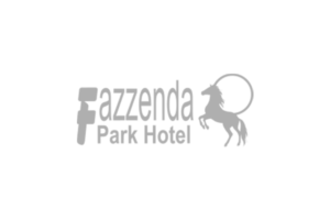 Fazzenda Park Hotel-gray